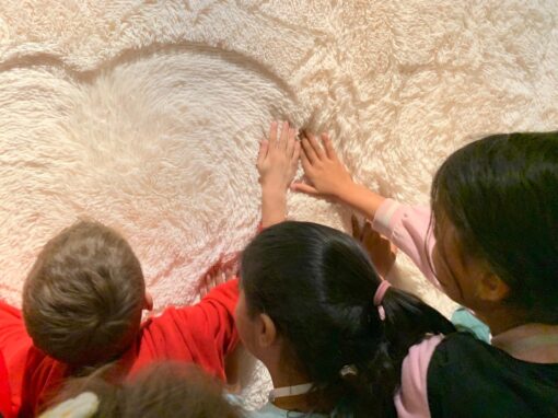 Noordje naar het Museum van de Geest